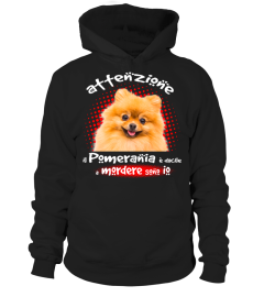 MIO POMERANIA