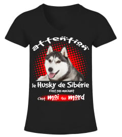 MON HUSKY DE SIBÉRIE