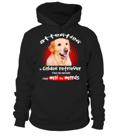 MON GOLDEN RETRIEVER