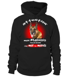 MON MALINOIS