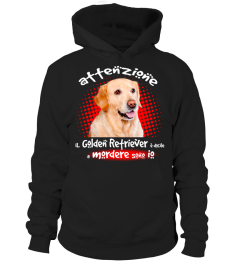 MIO GOLDEN RETRIEVER