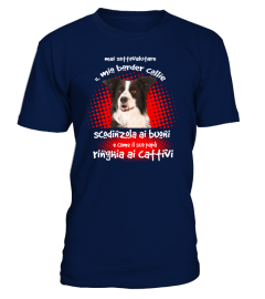 RINGHIA ai CATTIVI:  BORDER COLLIE