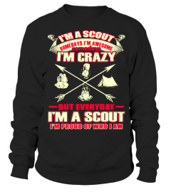 I'm A Scout