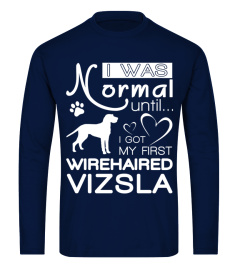 Normal-until-Wirehaired-Vizsla