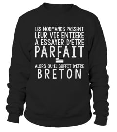 T-shirt Vie Parfait Breton