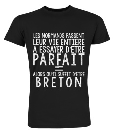 T-shirt Vie Parfait Breton