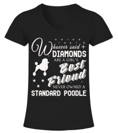 Standard Poodle lover cute t-shirt