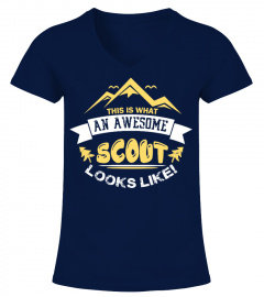 An Awesome Scout Looks Like