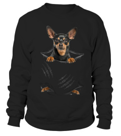 German Pinscher Scratch