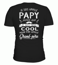 PAPA - JE SUIS TROP COOL