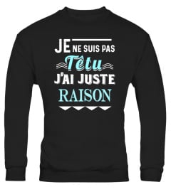 JE NE SUIS PAS TETU. J'AI JUSTE RAISON