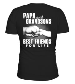 PAPA AND GRANDSONS BEST FRIENDS