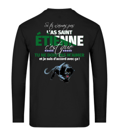 TSHIRT SUPPORTER FOOT FOOTBALL SAINT ETIENNE SI TU N'AIMES PAS SAINT ETIENNE