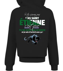 TSHIRT SUPPORTER FOOT FOOTBALL SAINT ETIENNE SI TU N'AIMES PAS SAINT ETIENNE