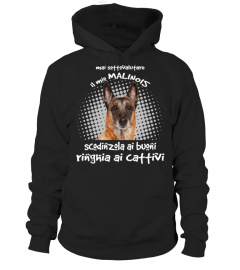 RINGHIA ai CATTIVI:  MALINOIS