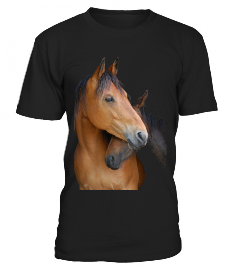 HORSE LOVE