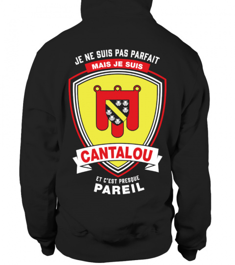 T-shirt - Cantalou Parfait