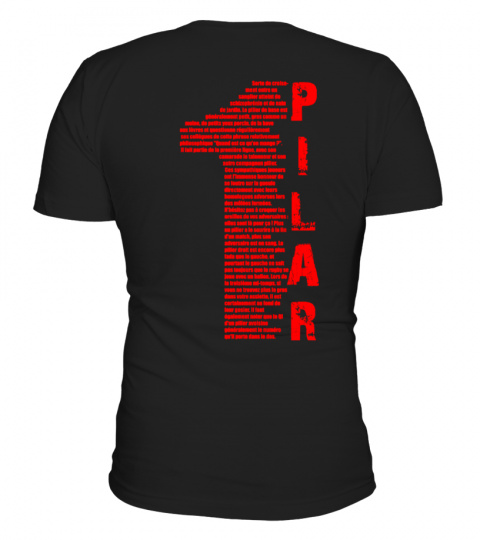 N°1 Pilier ou pilar