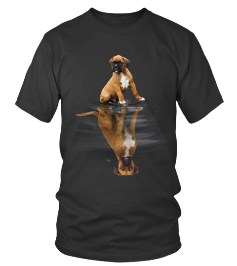 Boxer9