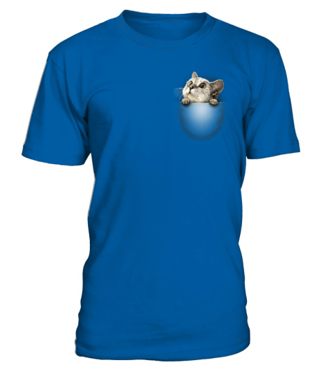 Cat in my pocket