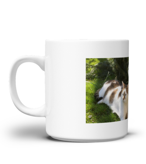 Tasse - Katze:  "Als Gott mich schuf .."