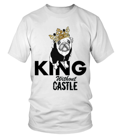 King Without Castle