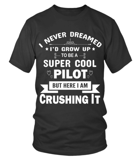 I Never to be a Super Cool Pilot