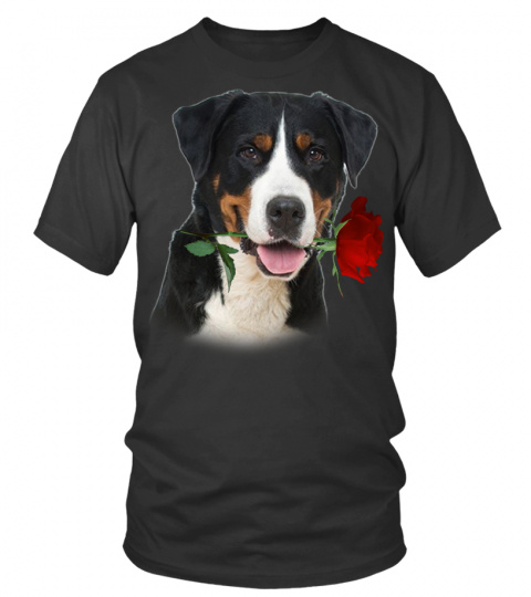 Greater Swiss Mountain Dog-Rose