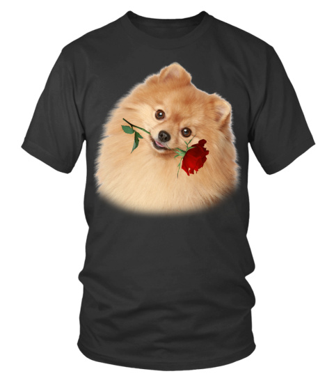 Pomeranian-Rose