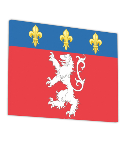 ARMOIRIES DE LYON - Canvas Print
