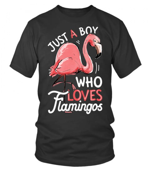 Just A Boy Who Loves Flamingos T shirt Pink Flamingo Lovers