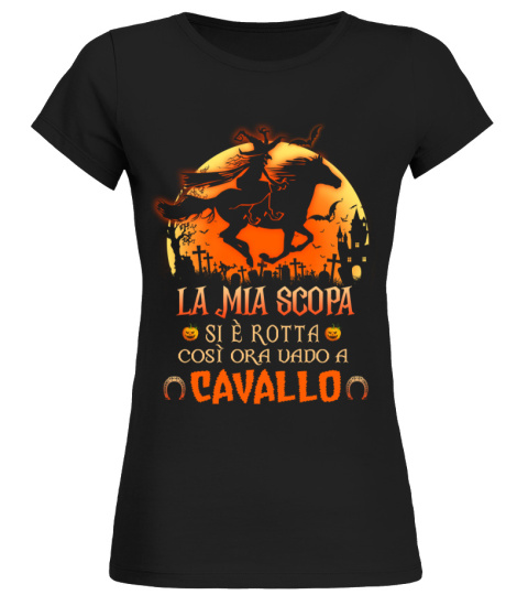 LA MIA SCOPA SI È ROTTA, COSÌ ORA VADO A CAVALLO