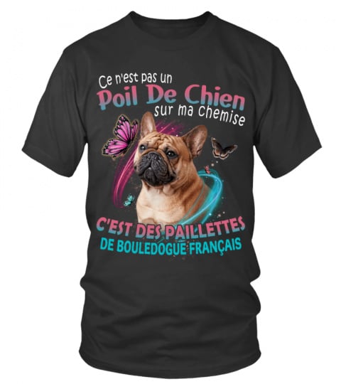 Bouledogue français 2 - Ce n'est pas un poil de chien sur ma chemise
