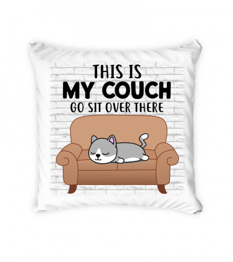This is my couch go sit over there EN