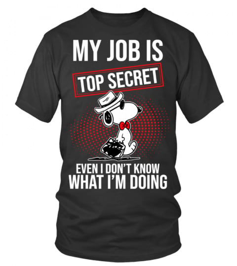 MY JOB IS TOP SECRET
