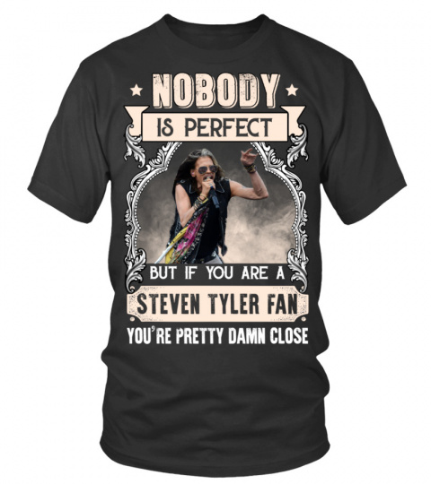 NOBODY IS PERFECT BUT IF YOU ARE A STEVEN TYLER FAN YOU'RE PRETTY DAMN CLOSE