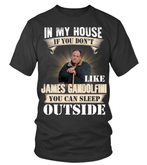 IN MY HOUSE IF YOU DON'T LIKE JAMES GANDOLFINI YOU CAN SLEEP OUTSIDE