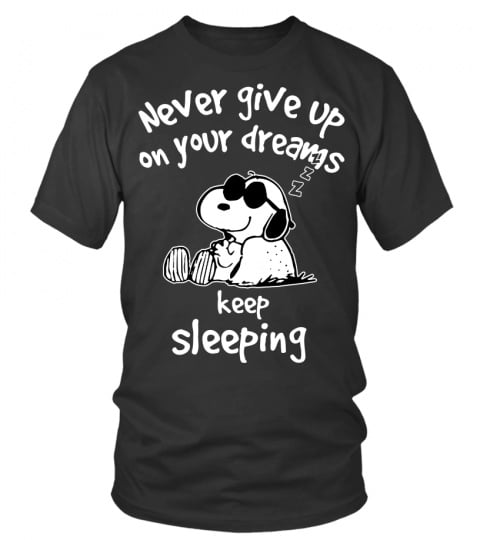 NEVER GIVE UP ON YOUR DREAMS KEEP SLEEPING