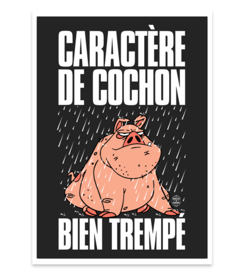 Caract re de cochon bien tremp Vente de v tements Bretons