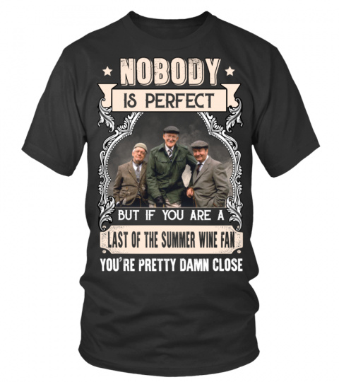NOBODY IS PERFECT BUT IF YOU ARE A LAST OF THE SUMMER WINE FAN YOU'RE PRETTY DAMN CLOSE