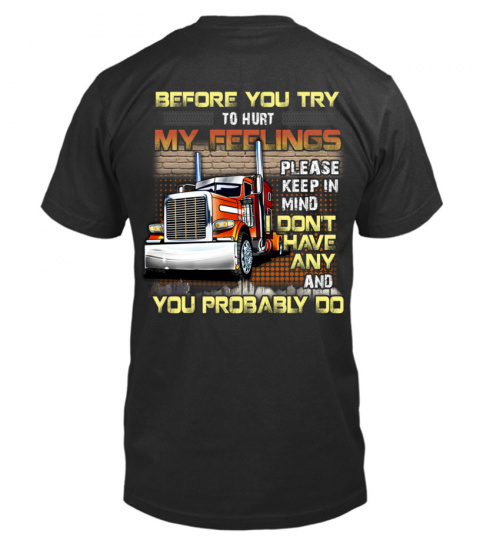 Trucker - Before you try to hurt my feelings, please keep in mind, I don't have any and you probably do.
