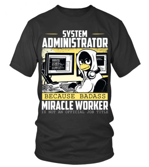 System administrator aka miracle worker