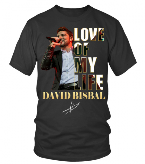 LOVE OF MY LIFE - DAVID BISBAL