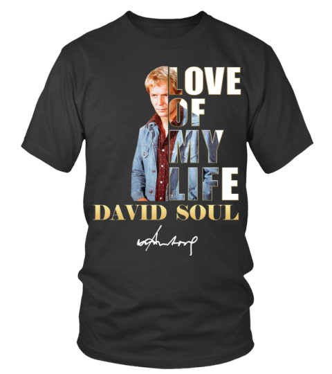 LOVE OF MY LIFE - DAVID SOUL