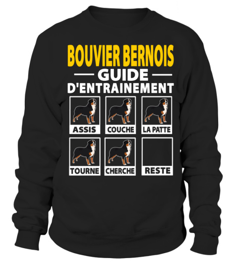 Bouvier Bernois Guide D'Entrainment