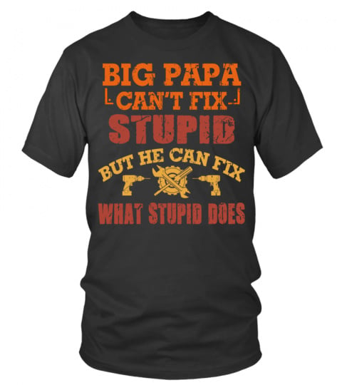 Big Papa Can't Fix Stupid But He Can Fix What Stupid Does