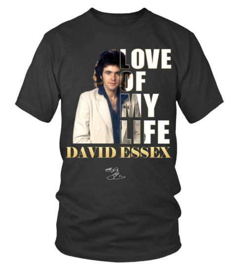 LOVE OF MY LIFE - DAVID ESSEX