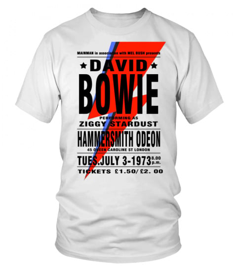 New Style DBowie 29