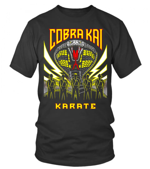 Karate Kid Shirts &amp; Cobra Kai BK (6)