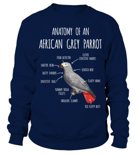 Anatomy of an African Grey Parrot a